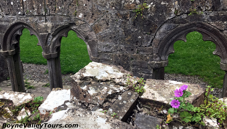 Bective Abbey Cloister