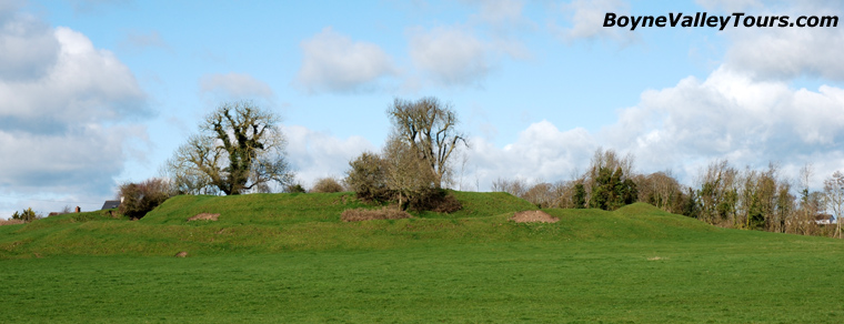 Danestown Ringfort