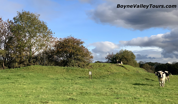 Danestown Ringfort