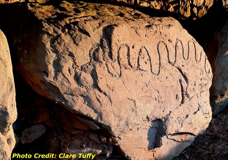 Knowth kerbstone with a deeply carved zigzag motif lit by raking sunlight at Brú na Bóinne
