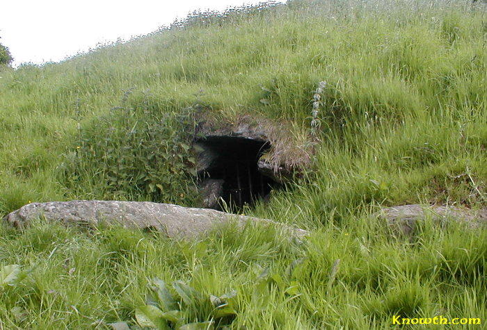 Gated entrance to Dowth South passage set in a grassy mound, with a carved kerbstone in the foreground